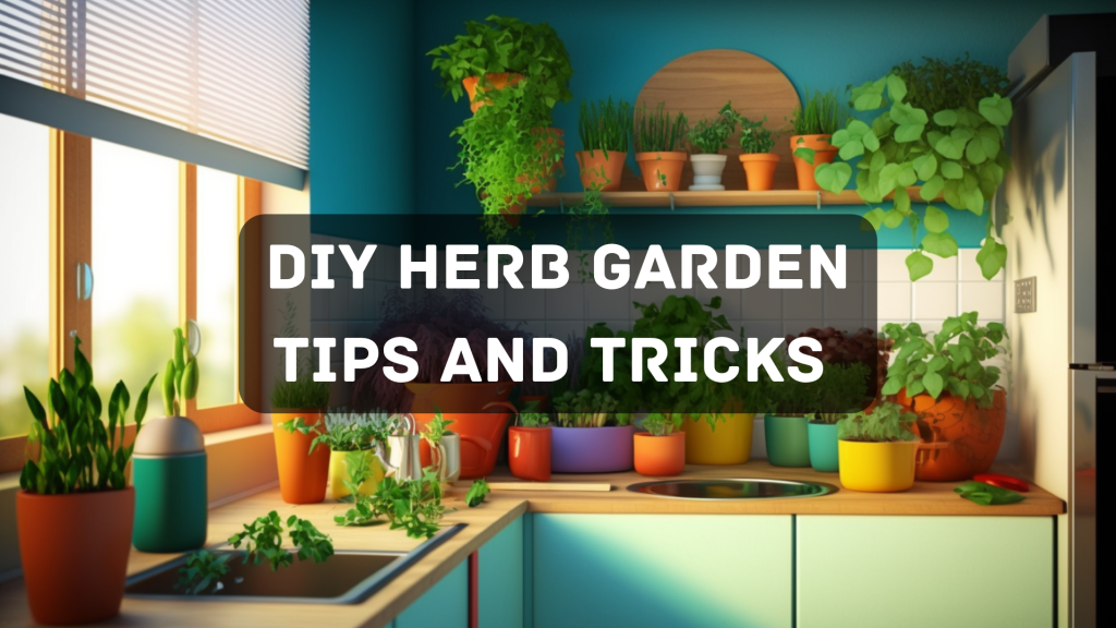 How to Create a DIY Herb Garden Tips and Tricks for Beginners 2023
