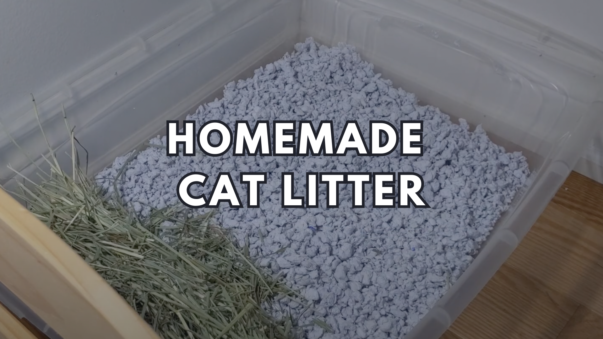 Homemade Cat Litter